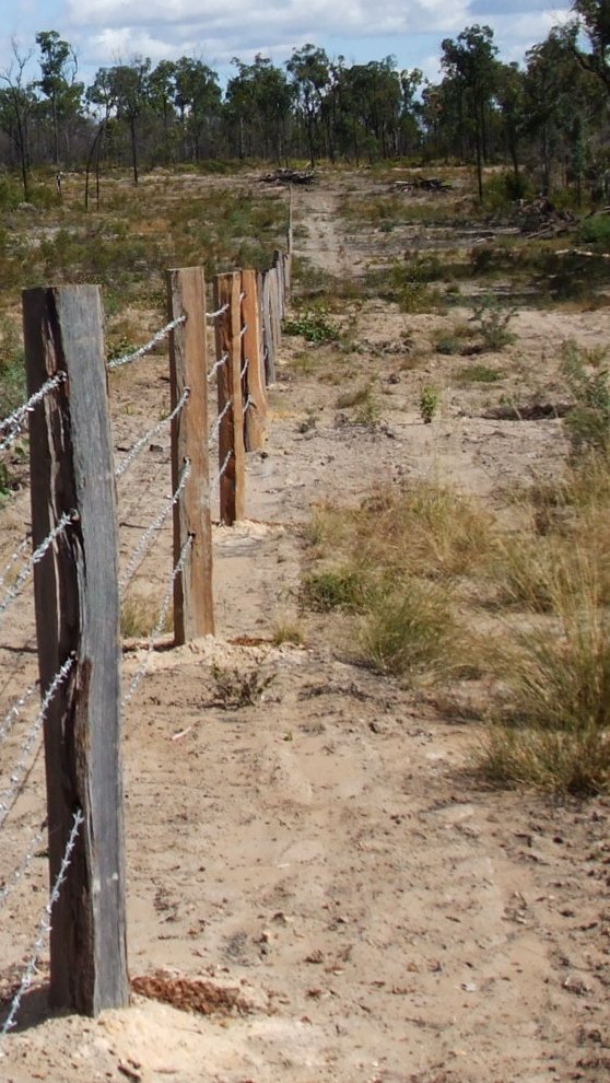 new-fence_sandy-soil